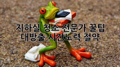🧹지하실 청소, 전문가 꿀팁 대방출! ✨시간&노력 절약!