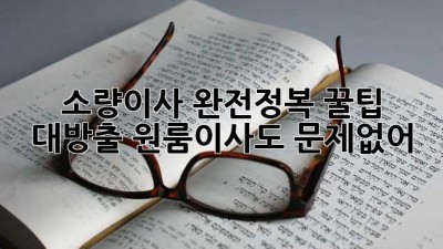 📦 소량이사 완전정복! 꿀팁 대방출🍯 원룸이사도 문제없어!
