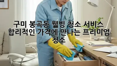 구미 봉곡동 웰빙 청소 서비스: 합리적인 가격에 만나는 프리미엄 청소