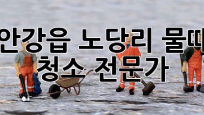 경주 안강읍 노당리 물때 제거 청소 전문가