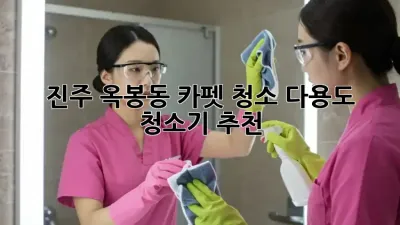 진주 옥봉동 카펫 청소? 다용도 청소기 추천!